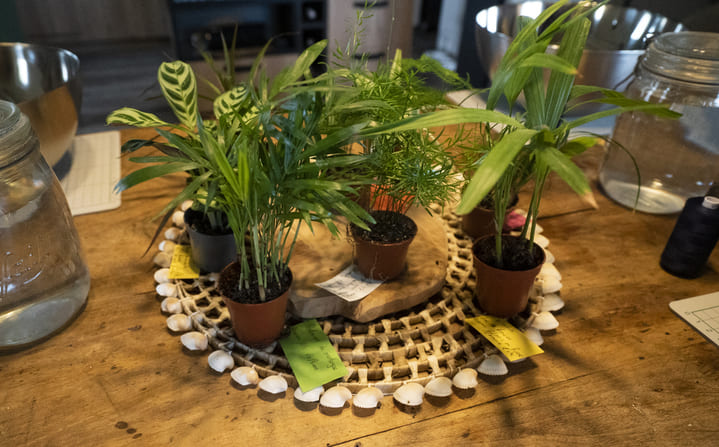 Atelier art floral à Angers
